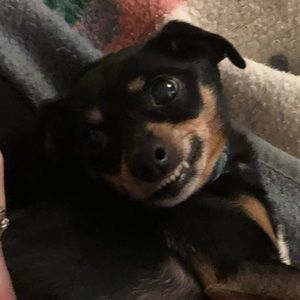 Meet your Posher, Kyle